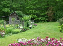 Garden of Eden Cabins
