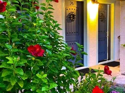 Retreat at Crystal Manatee