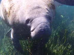 Sweet retreat in the springs NOT waterfront property