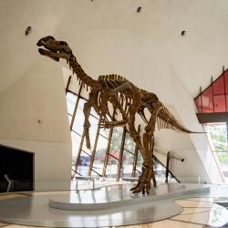 National Museum of Australia, Canberra Accommodation Indiana