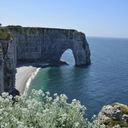 Normandy Accommodation Indiana