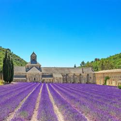 Provence Accommodation Indiana