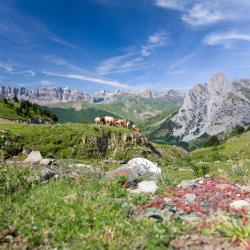Pyrénées Accommodation Indiana