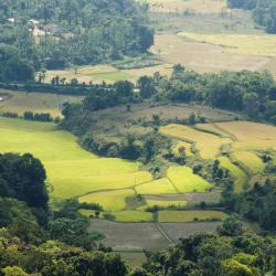 Coorg Accommodation Indiana