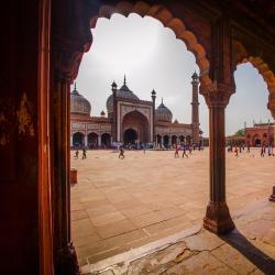 Delhi NCR Accommodation Indiana
