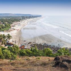 Goa Accommodation Indiana