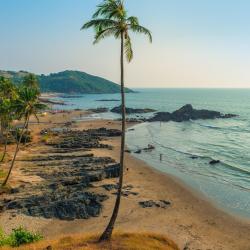 North Goa Accommodation Indiana