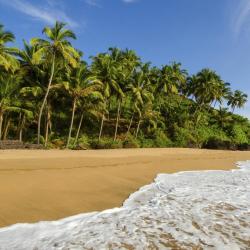 South Goa Accommodation Indiana