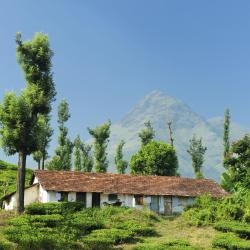 Wayanad Accommodation Indiana