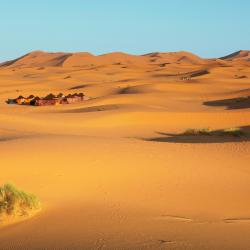 Merzouga Accommodation Indiana
