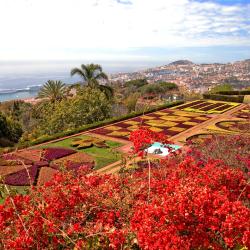 Funchal Accommodation Indiana
