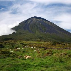 Pico island Accommodation Indiana