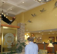 Diamond Mountain Casino Hotel - Accommodation Indiana