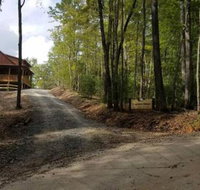 DOGWOOD DREAM Amazing Family Retreat Surrounded by Mountain Laurels - Accommodation Indiana