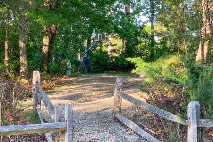 Ocean Mandevilla - thumb 5