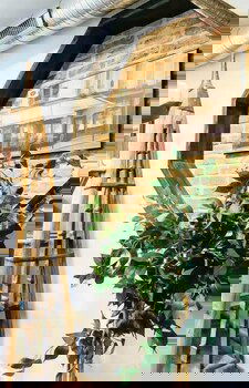 Charming Home In Premier Location Near Fells Point - thumb 2