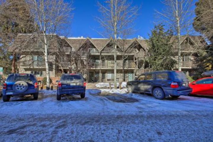 Downtown Aspen Condo With Fireplace Near 4 Ski Areas! - thumb 5