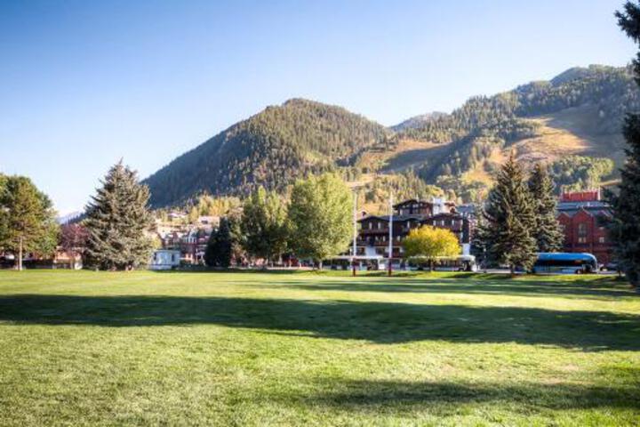 Downtown Aspen Condo With Fireplace Near 4 Ski Areas! - thumb 6