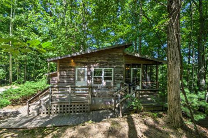Serene Robbinsville Cabin W / Screened Porch & Grill - thumb 3