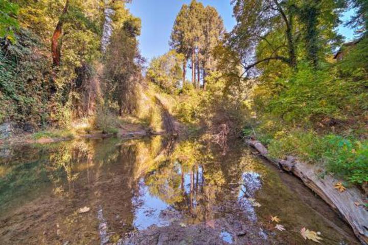 Riverfront Cottage In Redwoods W / Decks + Beach! - thumb 0