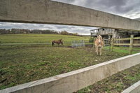 Vintage Farmhouse 2.4 Miles to Mount Pleasant Ski