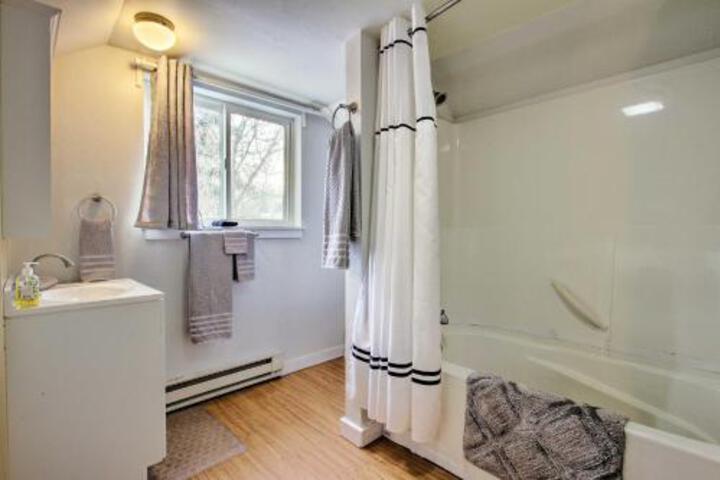 Remodeled Bozeman Apartment Walk To Main Street! - thumb 5