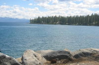 Serendipity Garage Wood FP Pets Welcome Fenced