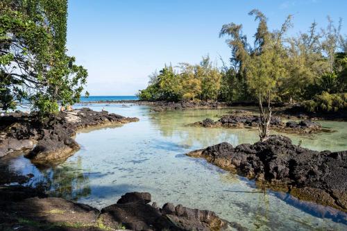 Hilo Condo W / Lanai Pool & Views Walk To Beach - thumb 6