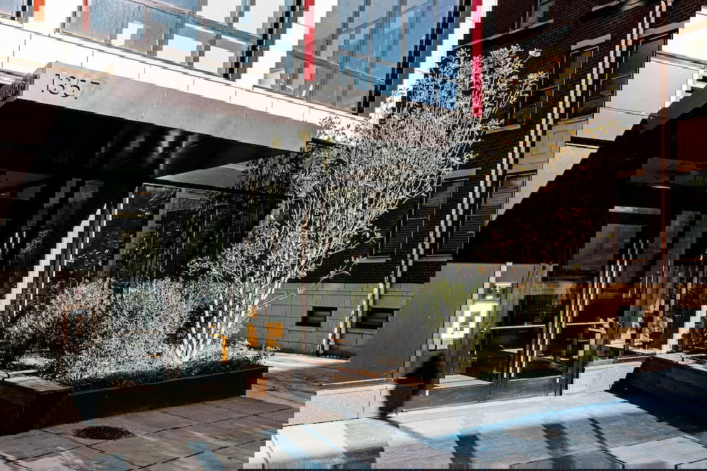 BLACK SWAN - Liz DC - Executive Flat - thumb 1