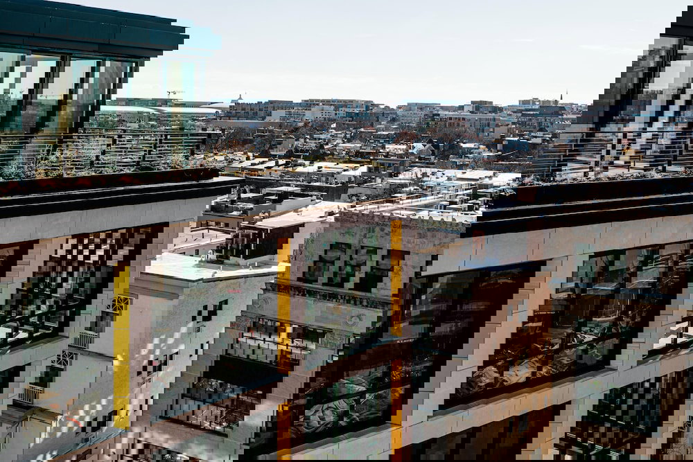 BLACK SWAN - Liz DC - Executive Flat - thumb 0