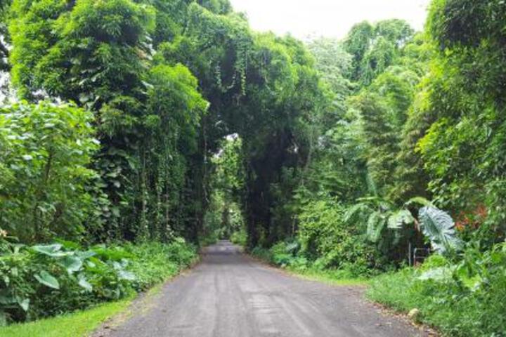 Hale O Nani Mala Pua Home - thumb 0