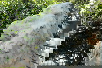 Janssen Park Place BB