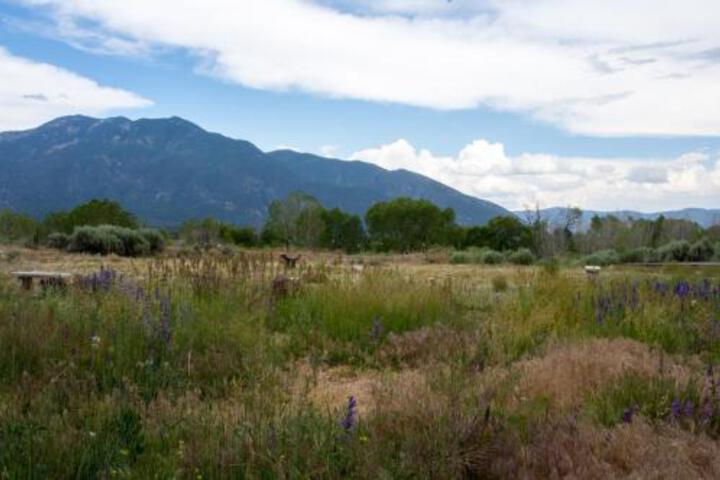 Arroyo Seco Studio - thumb 1