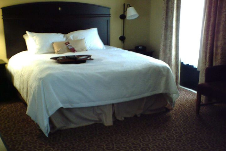 Hampton Inn Vidalia - thumb 4