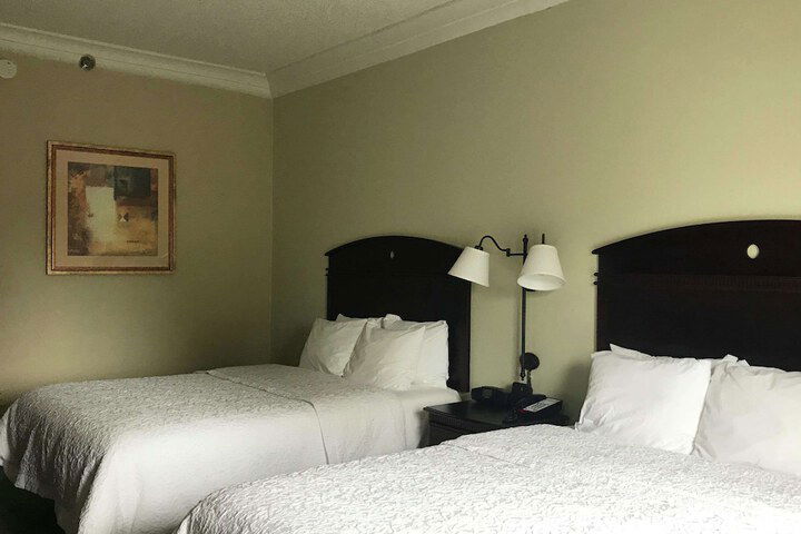 Hampton Inn Vidalia - thumb 7