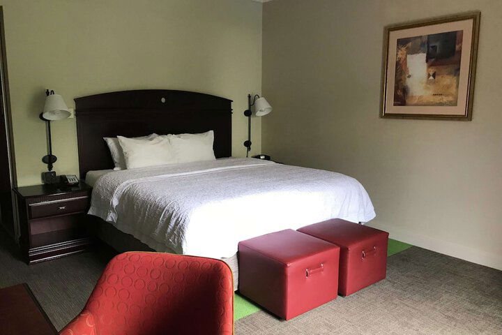 Hampton Inn Vidalia - thumb 6