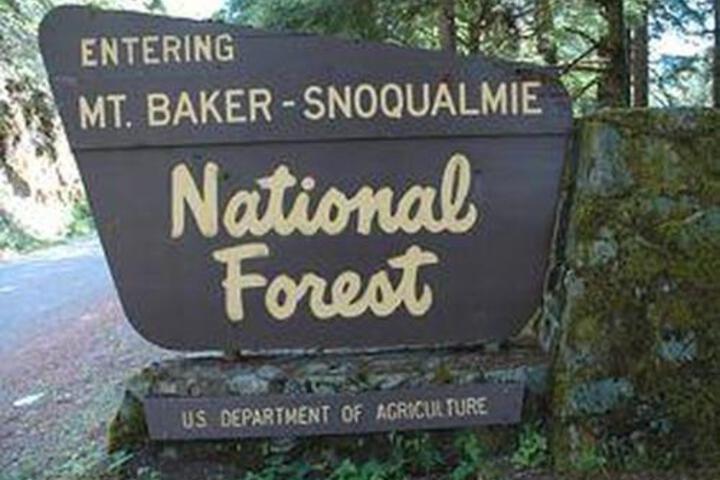 Holiday Home 86SL Rustic Cabin Near Mt. Baker - thumb 5