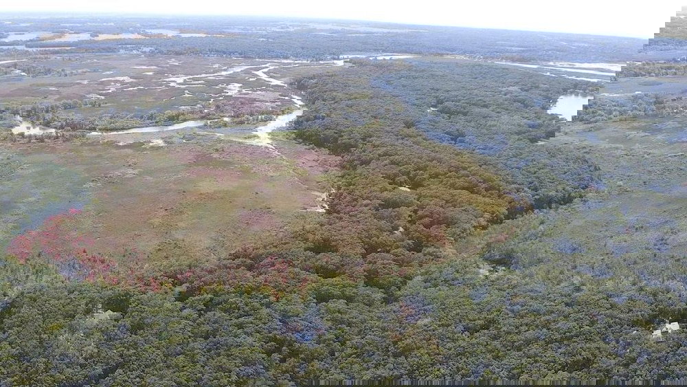 River Walk - thumb 1