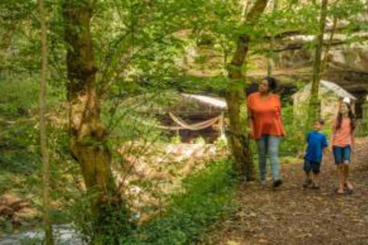 Lewis & Pearl Vacation Apartment A - thumb 5