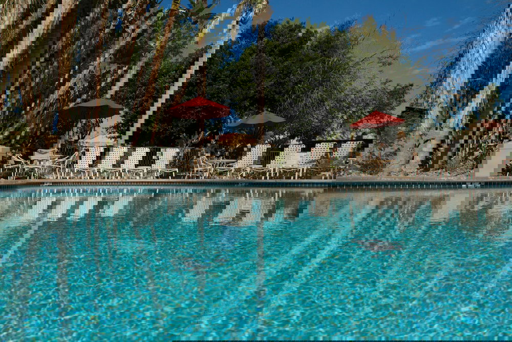 The Oasis Resort - thumb 3