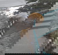 Mountainback at Mammoth - Accommodation Indiana