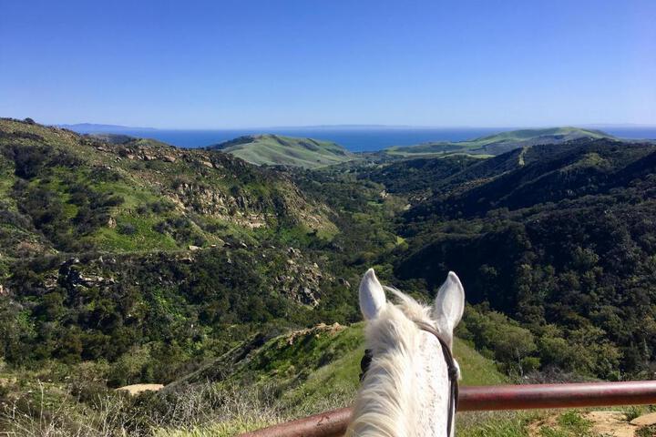 Circle Bar B Guest Ranch - thumb 5