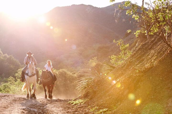 Circle Bar B Guest Ranch - thumb 4