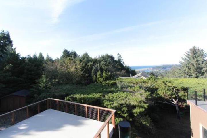 Singing Winds - thumb 1