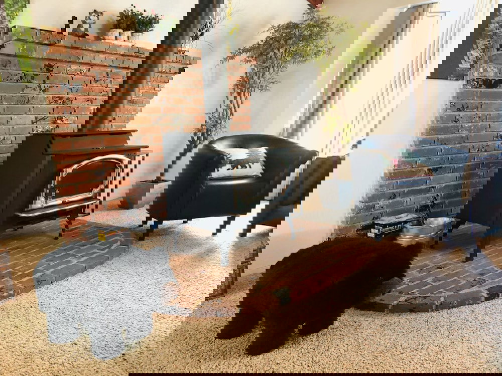 Leaning Pine Retreat - thumb 6