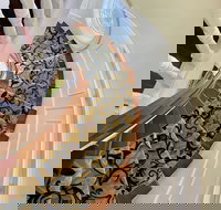 Atlantis Inn Hotel - Accommodation Indiana