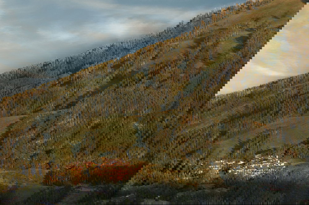 Stein Eriksen Lodge - thumb 0