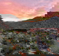 The Ritz-Carlton Dove Mountain - Accommodation Indiana