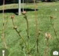 Arnold Meadowmont Lodge - Accommodation Indiana