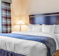 Comfort Suites Bloomsburg - Accommodation Indiana